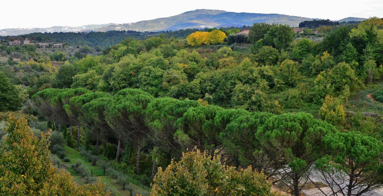 Pieve Suites Città della Pieve Екстериор снимка